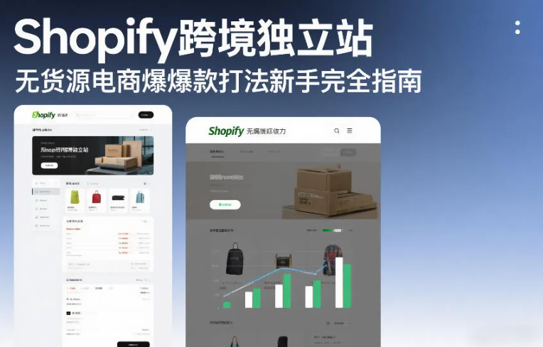 Shopify跨境独立站无货源电商爆款打法新手完全指南